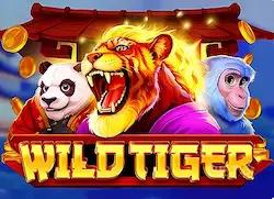 игра Wild Tiger в Bollywood casino